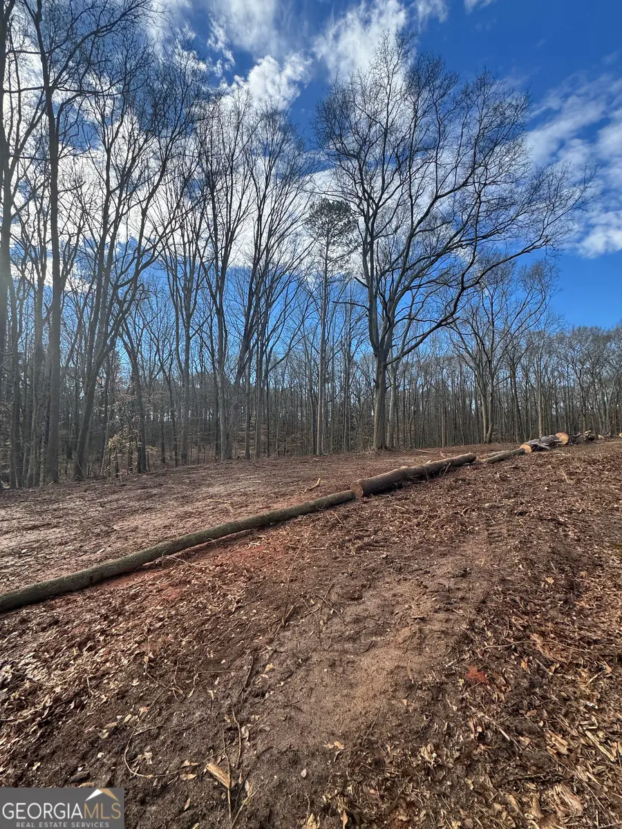 260 Roosevelt Circle, Bowman, GA 30624 - #2