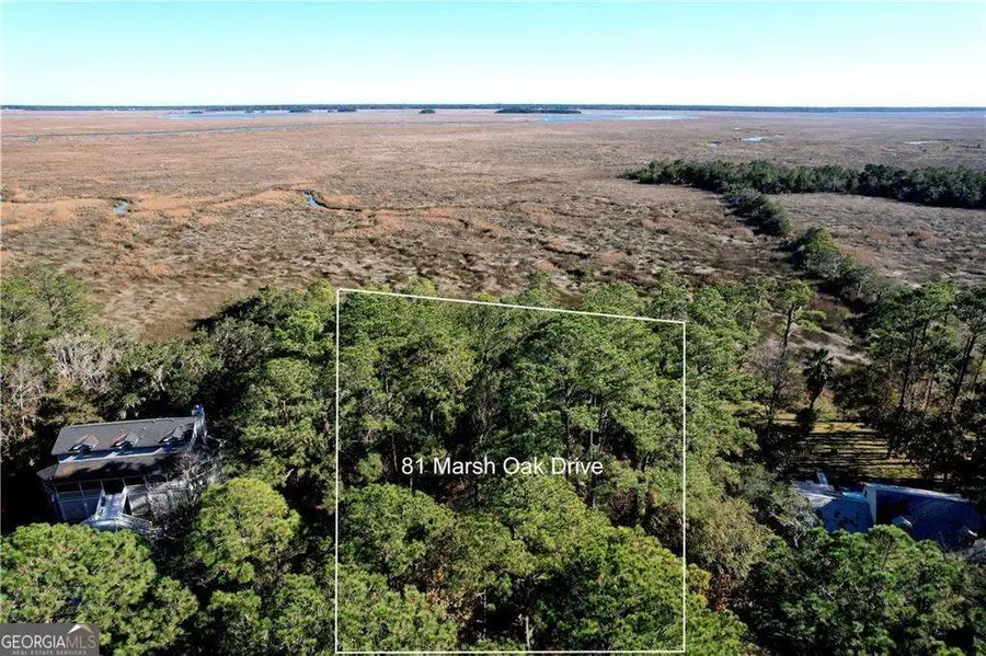 81 Marsh Oak Drive, Brunswick, GA 31525 - #3