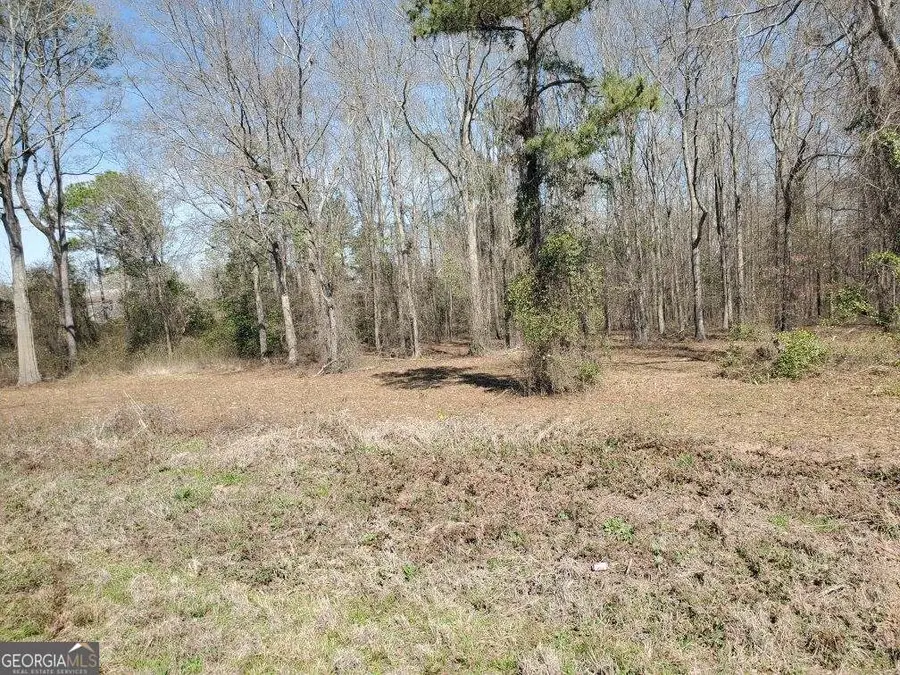 5.26 ACRES Old Knoxville Road, Knoxville, GA 31050 - #2