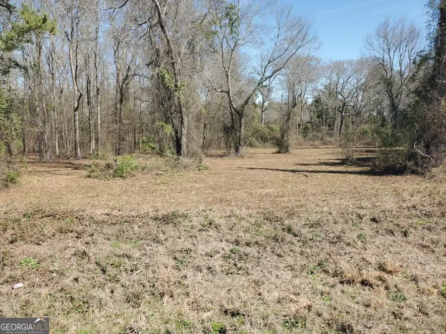 5.26 ACRES Old Knoxville Road, Knoxville, GA 31050 - #3