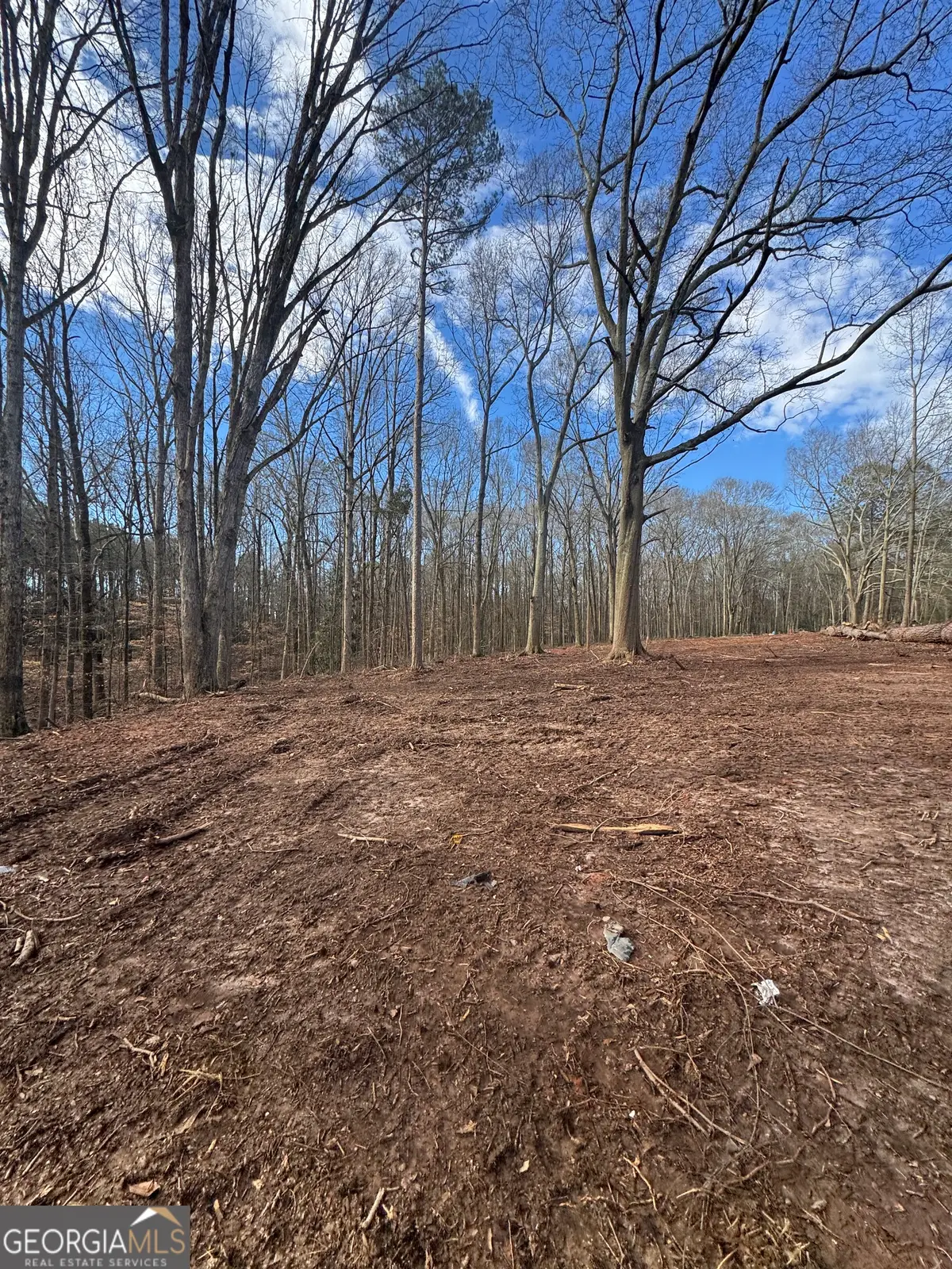 231 Roosevelt Circle, Bowman, GA 30624 - #1