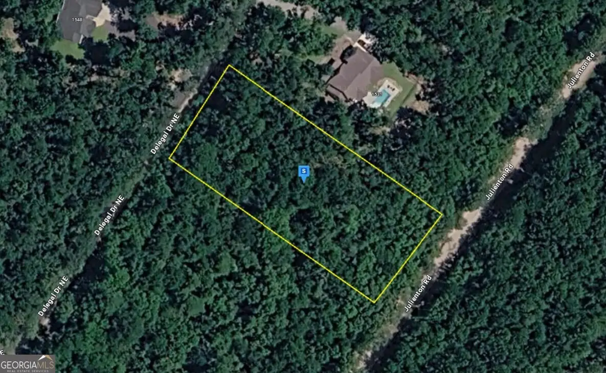 1545 Delegal Drive, Townsend, GA 31331 - #1