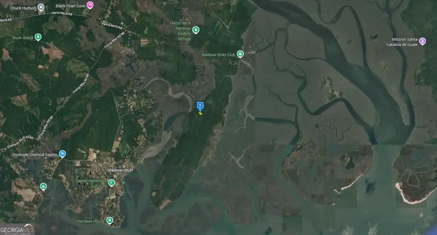 1545 Delegal Drive, Townsend, GA 31331 - #3