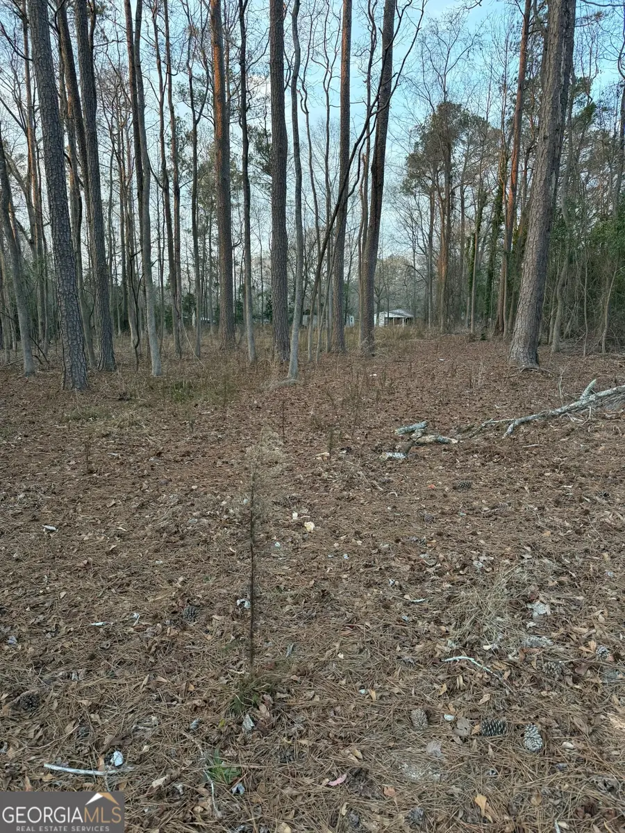 129 Wooten West Street, Tignall, GA 30668 - #2