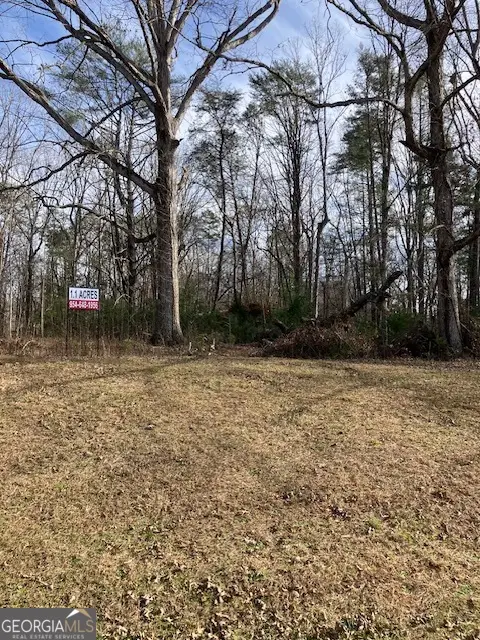 0 Towering Oaks Drive, Cleveland, GA 30528 - #2