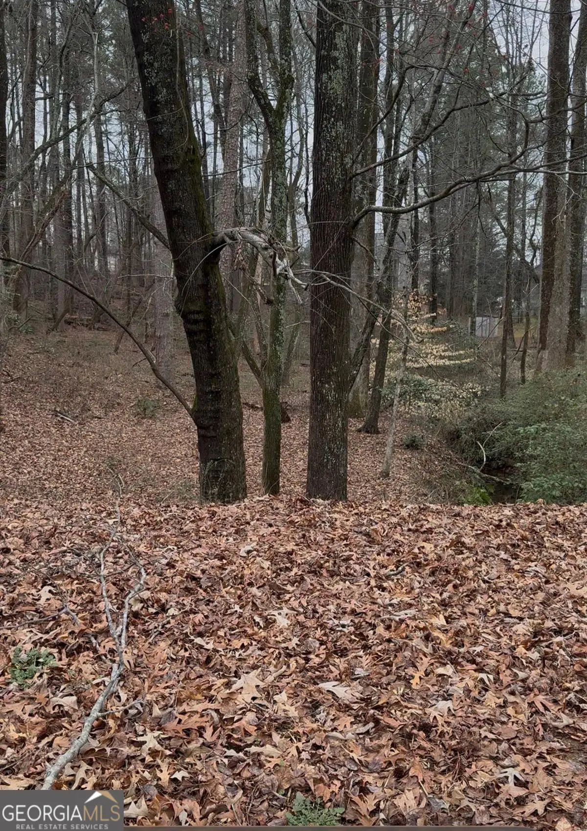 3262 Camens Way, Buford, GA 30519 - #1