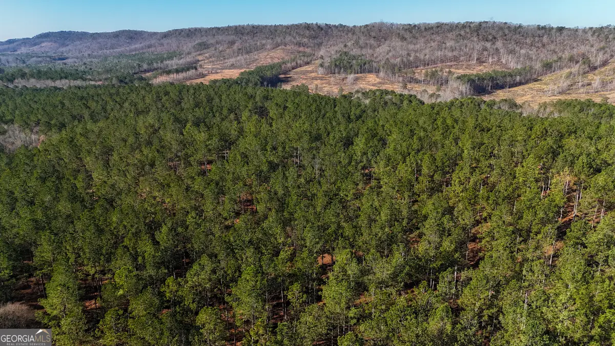 0 Gaylor Road, Lyerly, GA 30730 - #1