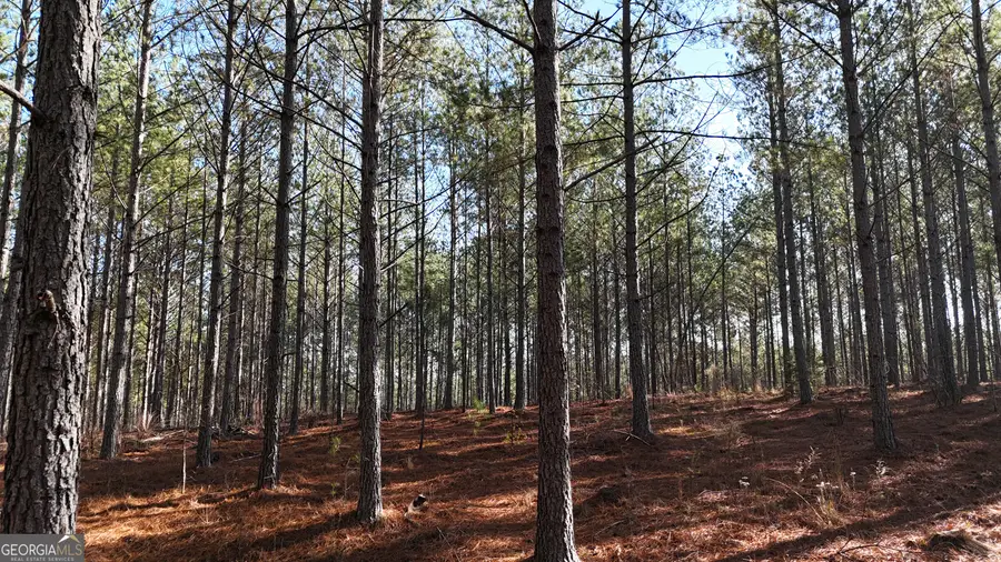 0 Gaylor Road, Lyerly, GA 30730 - #2