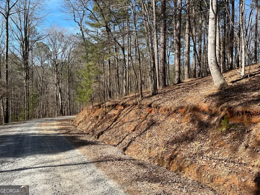 630 N Armor Way, Ellijay, GA 30540 - #3