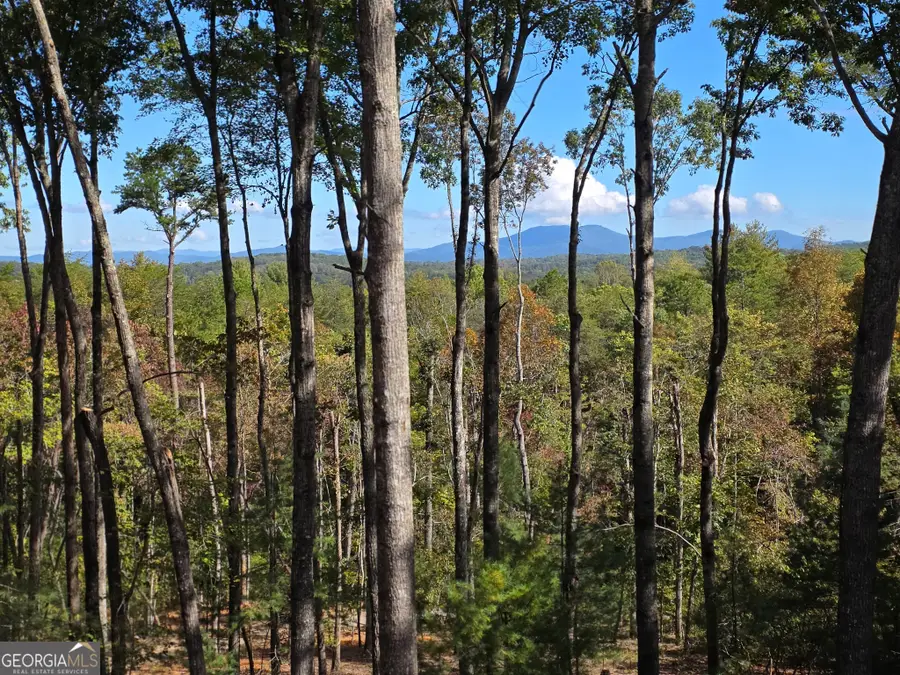 345 Big Oak Lane, Blue Ridge, GA 30513 - #3