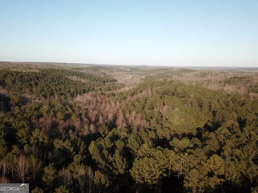 0 - TRACT 1 Mt Zion Church Road, Whitesburg, GA 30185 - #3