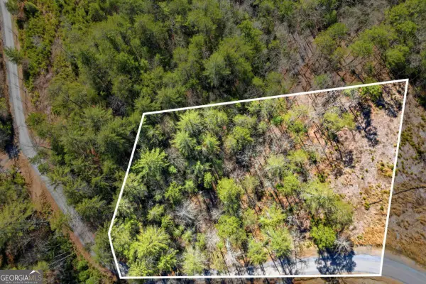 0 Mountain Laurel, Mineral Bluff, GA 30559