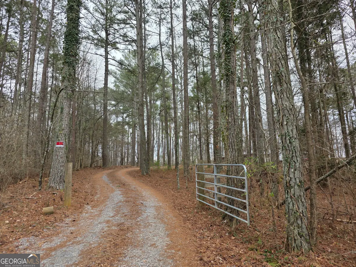 731 Seabreeze Lake Road, Buchanan, GA 30113 - #1