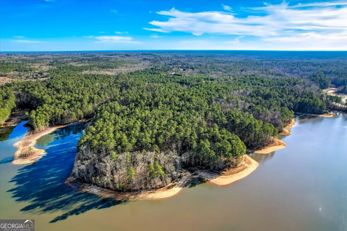 1138 Ben Lane, Lincolnton, GA 30817 - #1