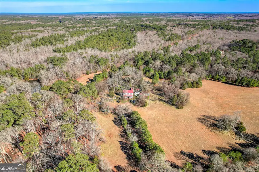 1138 Ben Lane, Lincolnton, GA 30817 - #2