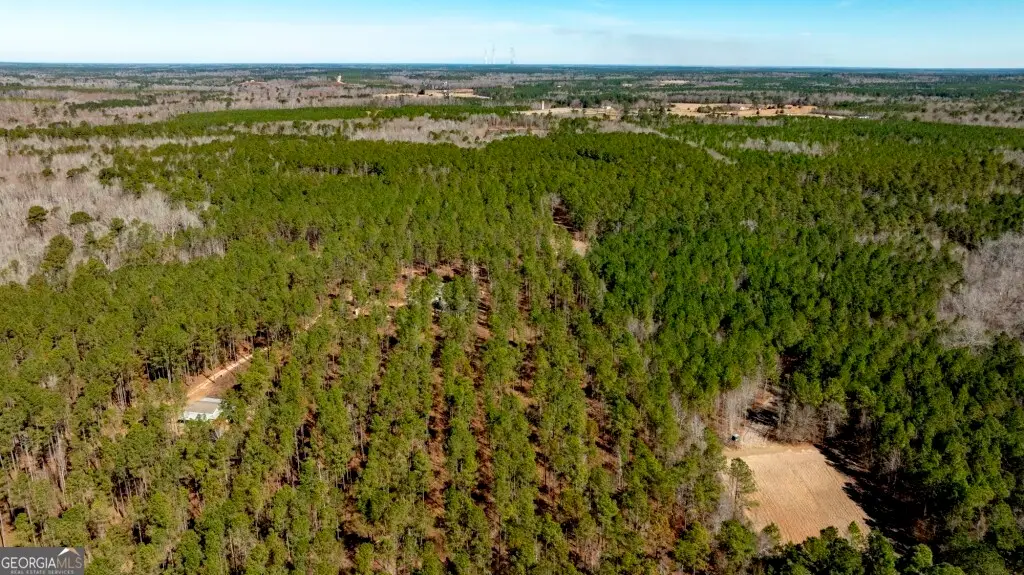 1401 Messex Road, Millen, GA 30442 - #1