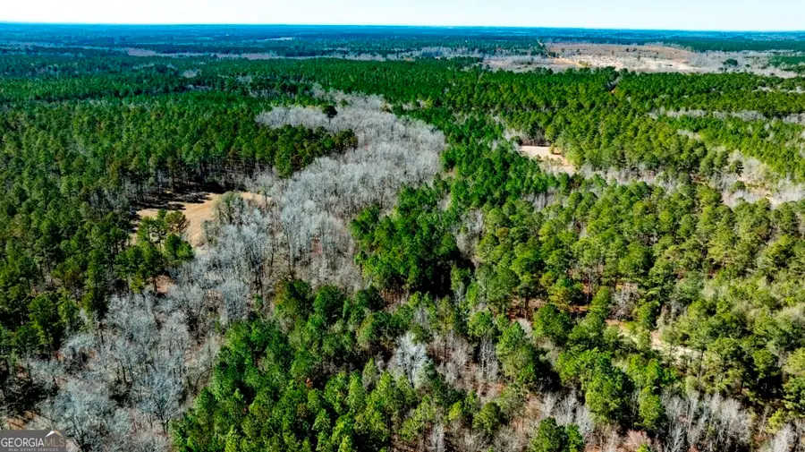 1401 Messex Road, Millen, GA 30442 - #2