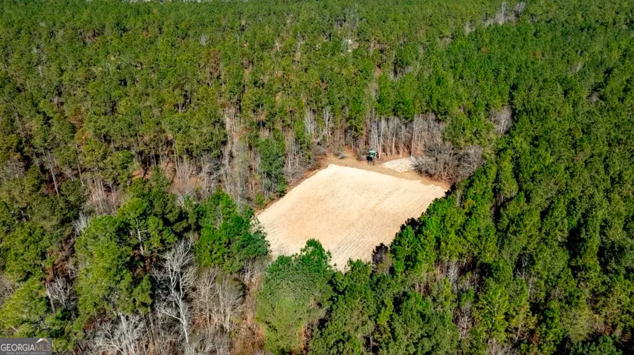 1401 Messex Road, Millen, GA 30442 - #3