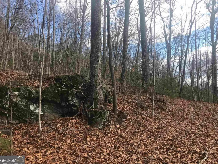 0 Shadow Mountain, Dillard, GA 30537 - #3