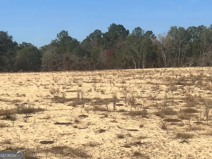 9.59 AC Jarriel's Bridge Spur Road, Collins, GA 30421 - #3