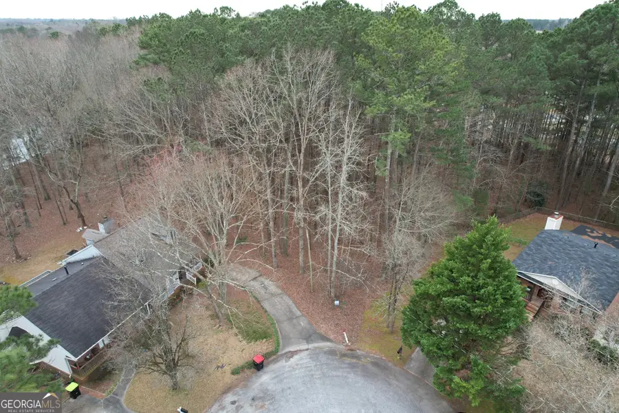 66 Ninety Two Place, Griffin, GA 30223 - #2