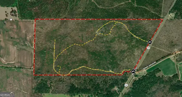 130.518 AC Ronnie Road, Buena Vista, GA 31803