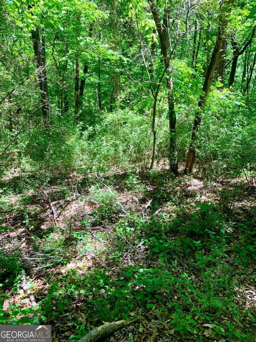 0 S Tanglewood Drive, Royston, GA 30662 - #2