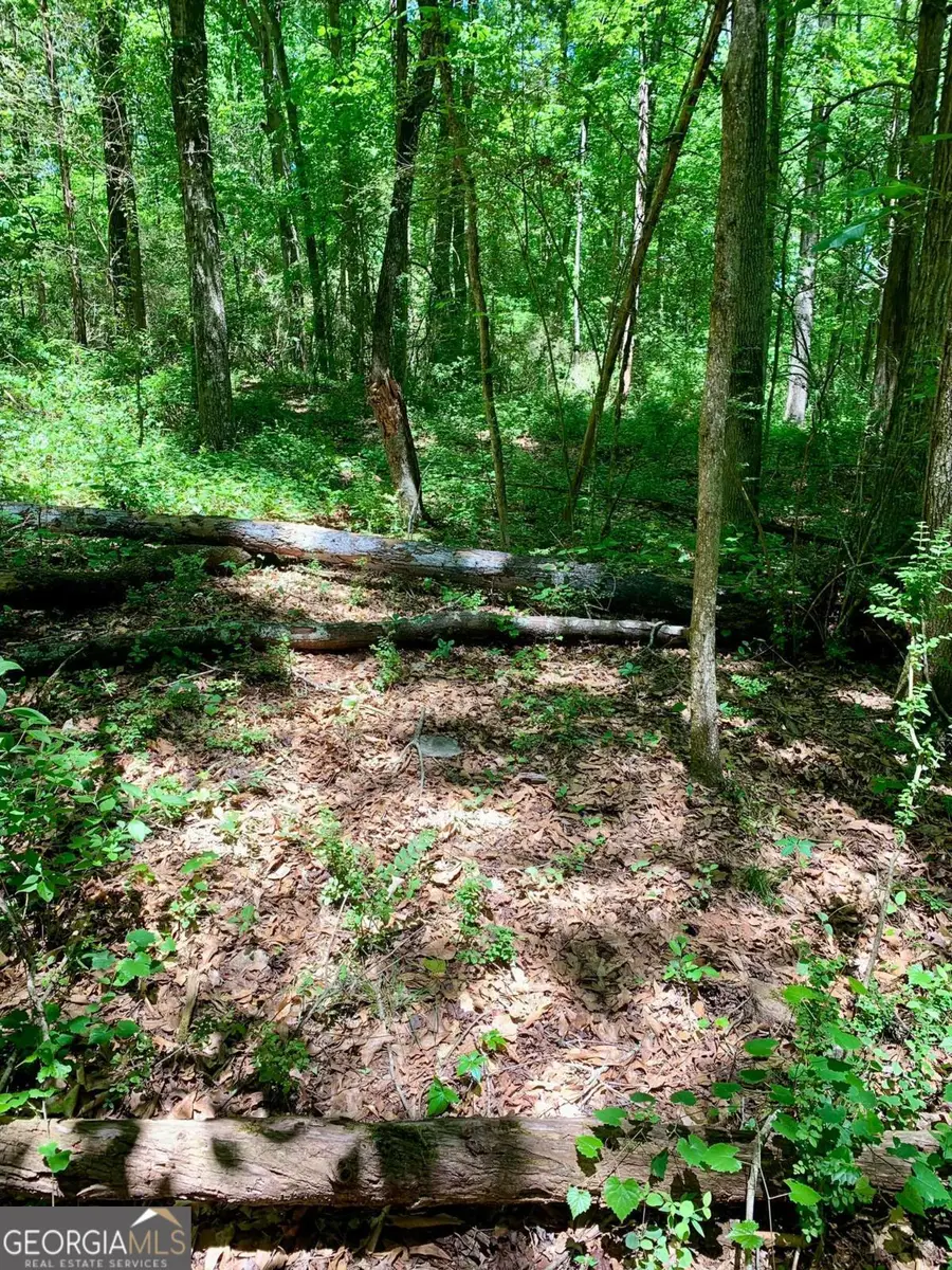 0 S Tanglewood Drive, Royston, GA 30662 - #3