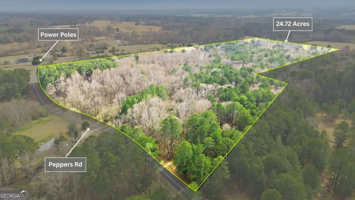 1 Peppers Road, Bishop, GA 30621 - #1