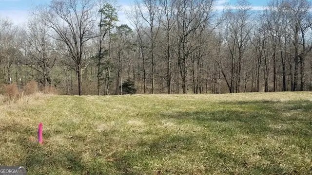 0 Hwy 51 N, Homer, GA 30547 - #3