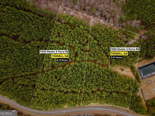 1004 Hesters Ferry Road, Tignall, GA 30668