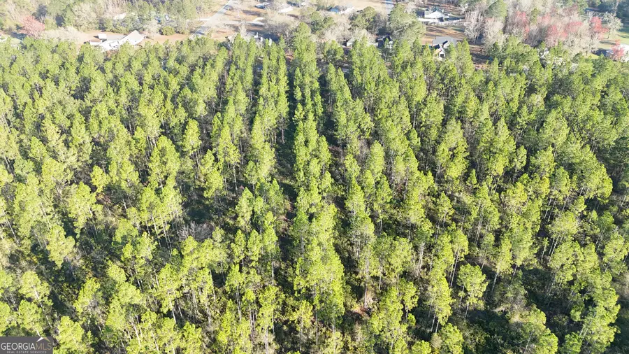 0 Robin Lane, Homeland, GA 31537 - #3