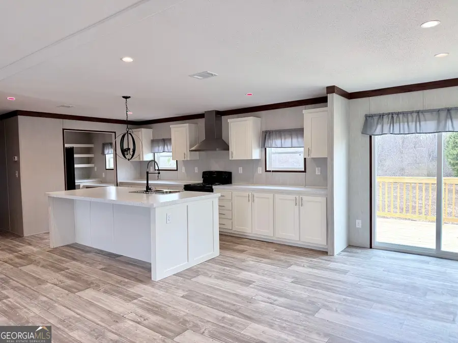 683 Evergreen Church Road, Cobbtown, GA 30420 - #3