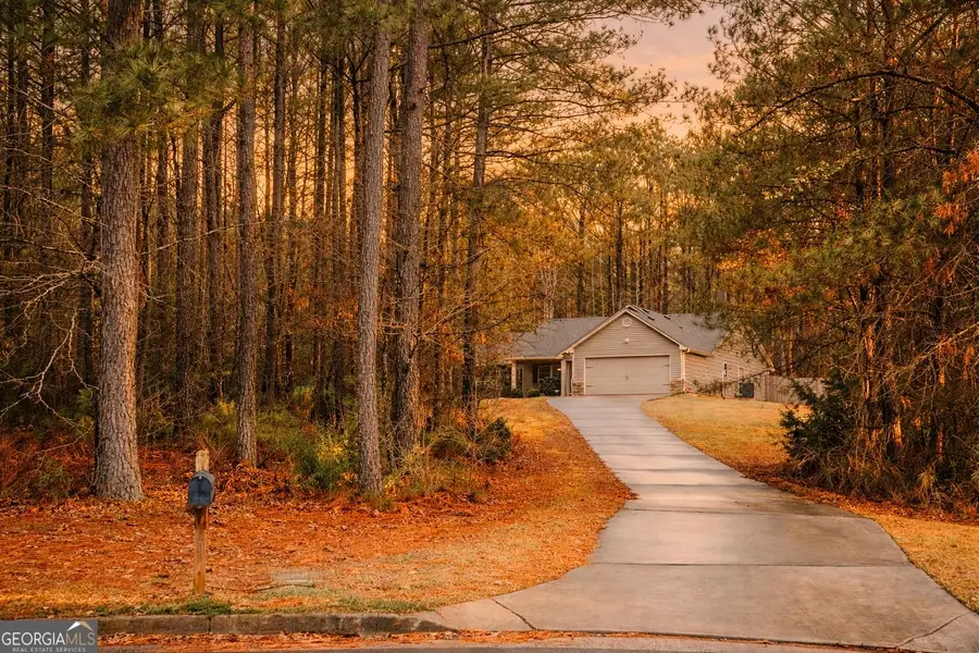 86 Concord Court, Senoia, GA 30276 - #2