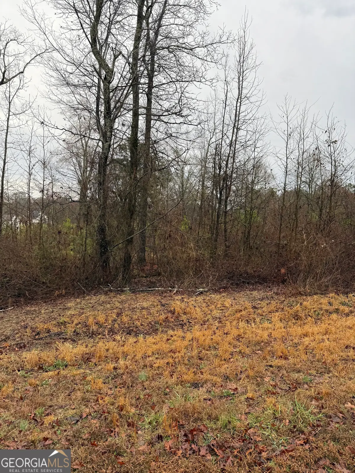 874 Forrester Cemetery Road, Covington, GA 30014 - #1