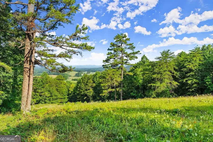 0 Westmoreland Road, Cleveland, GA 30528 - #2