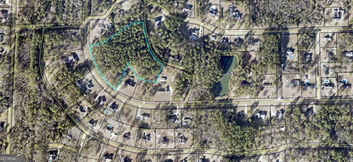 0 Cv Mosely Boulevard, Vidalia, GA 30474 - #1