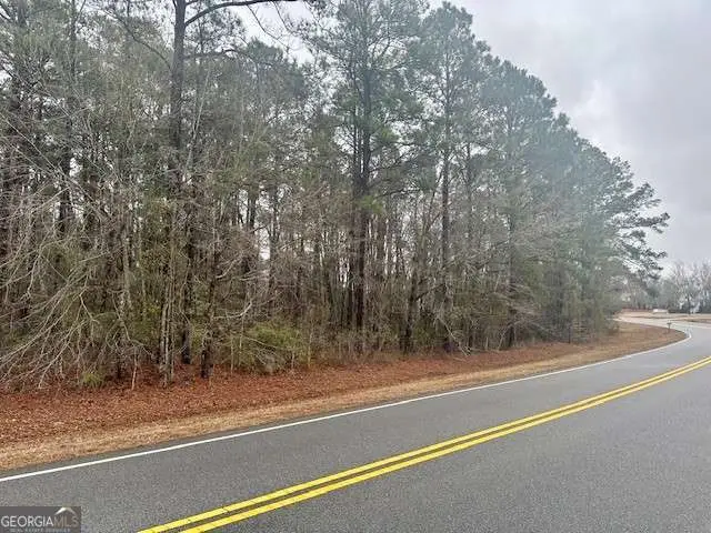 0 Cv Mosely Boulevard, Vidalia, GA 30474 - #2
