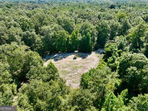 0 Abbeville Highway, Pineview, GA 31001