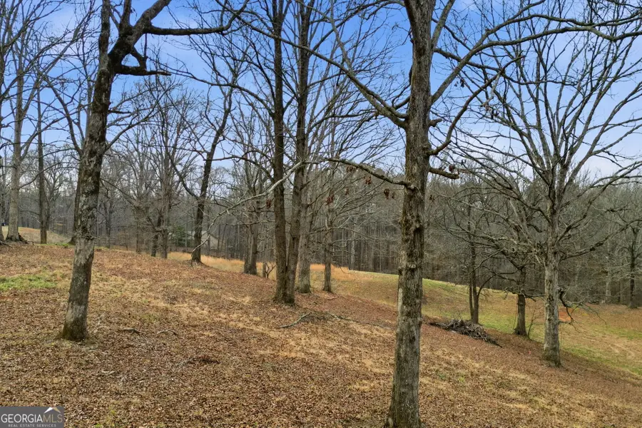 410 N Stringer Road, Canton, GA 30114 - #2