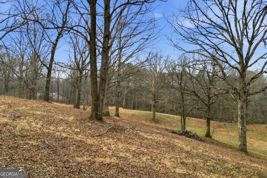 410 N Stringer Road, Canton, GA 30114 - #3