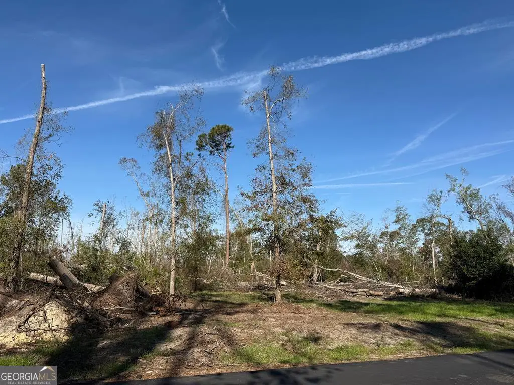 00 Old Graham Rd, Hazlehurst, GA 31539 - #1