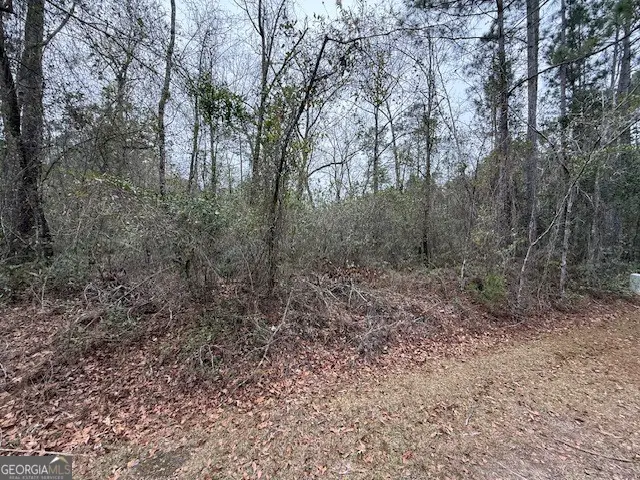 V/L 104 Satilla River Landing, Woodbine, GA 31569 - #2
