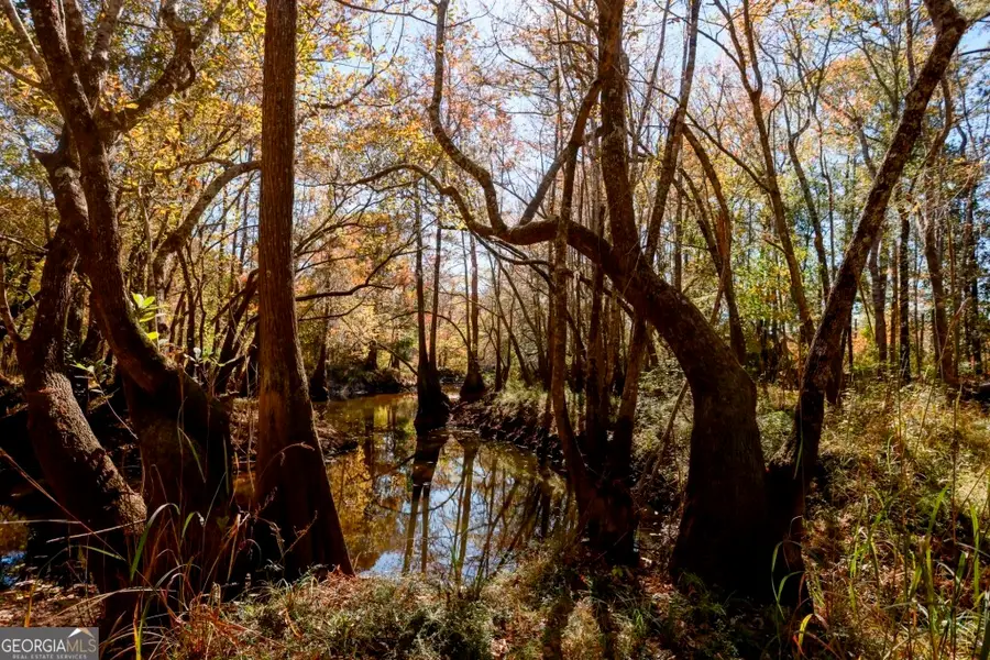 0 Twin Forks Rd/martin Road #TRACT 4, Statesboro, GA 30458 - #2