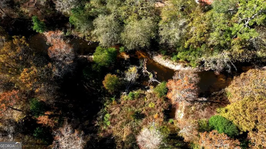 0 Twin Forks Rd/martin Road #TRACT 4, Statesboro, GA 30458 - #3