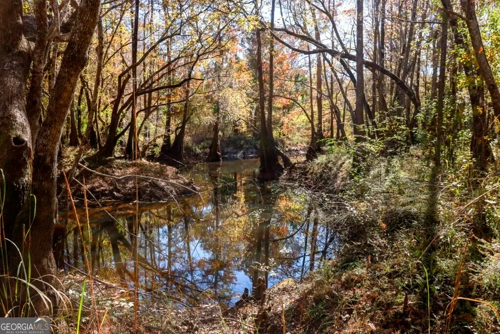 0 Twin Forks Rd/martin Road #TRACT 5, Statesboro, GA 30458 - #1