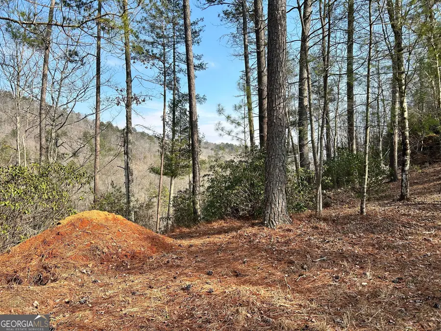 436 Meadow Lane, Talking Rock, GA 30175 - #2