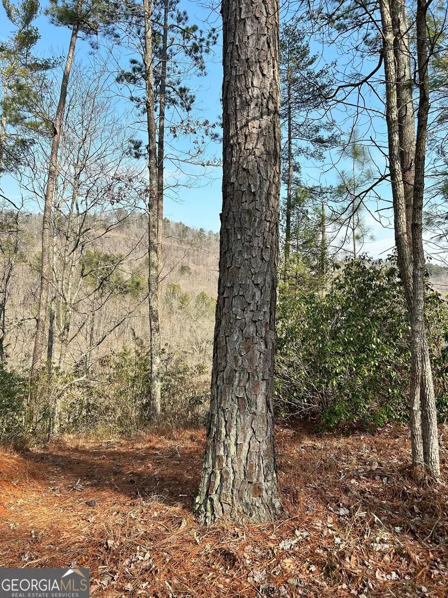 436 Meadow Lane, Talking Rock, GA 30175 - #3