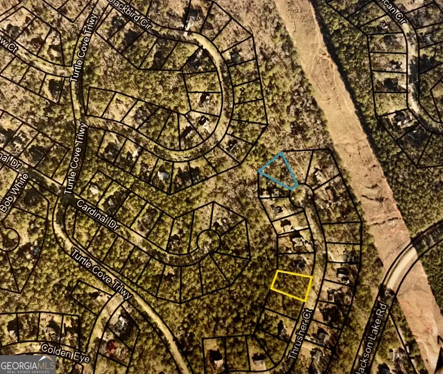 0 Thrusher Court #LOT 17, Monticello, GA 31064 - #2