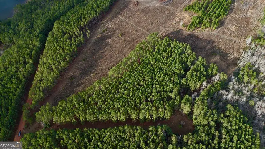 0 Harmony Ln Lot 10, Milan, GA 31060 - #3